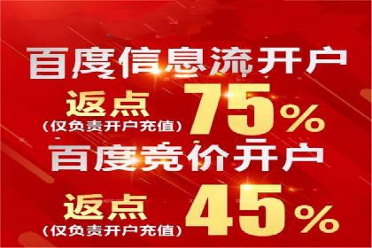 某行业sem百度竞价全解析